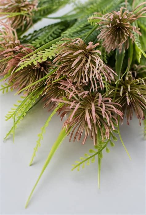 Dusty Pink Allium Bush Greenery Market