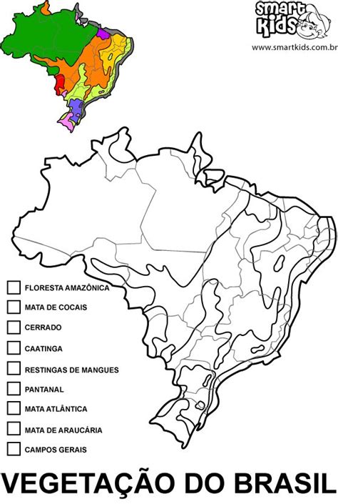 Mapas do Brasil para Colorir - Atividades para Educação Infantil | Mapa ...