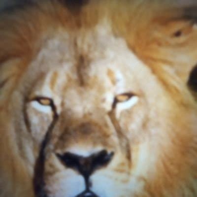 ATQofficial MAIN Has Onlyfans Free Fansly On Twitter Do You Like My Bikini Top Https T