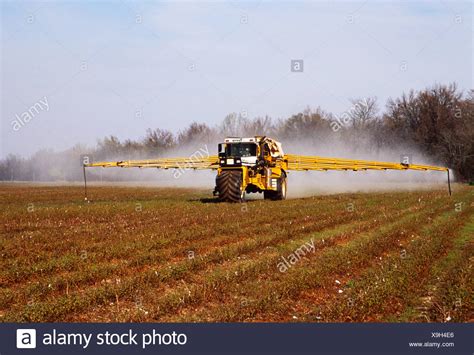 cotton stubble high resolution stock photography  images alamy