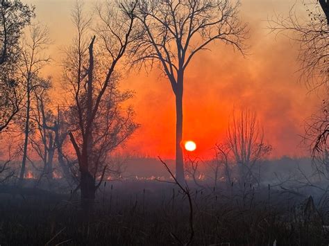 Wisconsin sees record start to the fire season as climate change drives