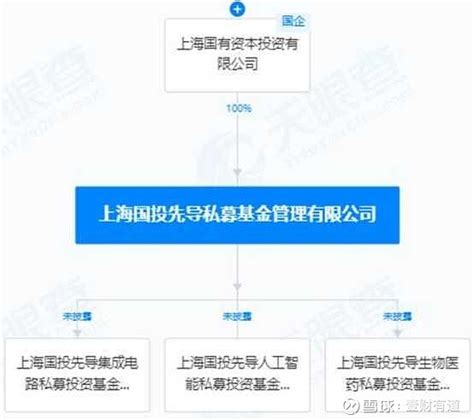 地方引导基金设立的意义何在？ 7月22日，上海三大先导产业母基金正式成立，出资额合计89003亿元，计划分别投向集成电路、 生物医药 和人工