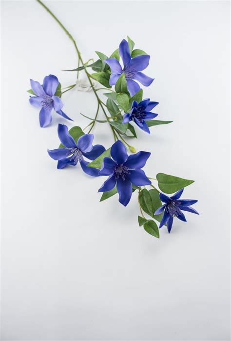 Clematis vine spray - purple - Greenery Market