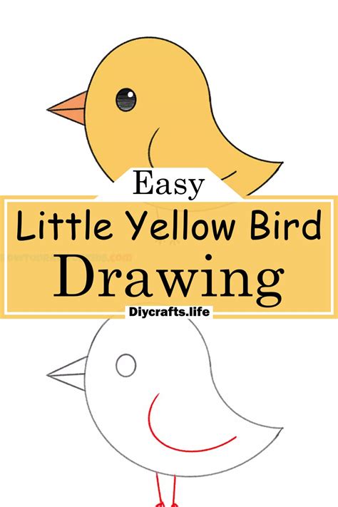 Easy Bird Drawing Step By Step