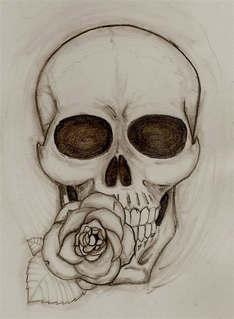 Skull With Roses Drawing At Getdrawings Free Download