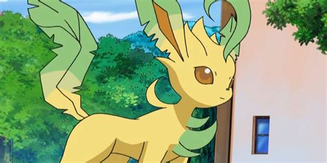 Pok Mon Unanswered Questions We Still Have About Grass Types