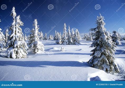 Wintry Landscape Scenery Stock Image Image Of Country