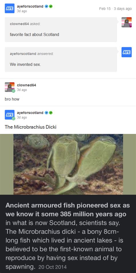 Hello Sir I Persue You Twitter You Are Creator Of Sex R Curatedtumblr