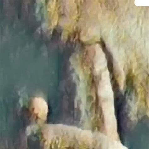 Blowjob Covid 19 Gay Man Porn XHamster