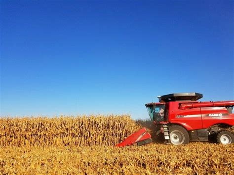 The Iowa Corn Quest 2016 | Iowa, Corn, Corn farmer