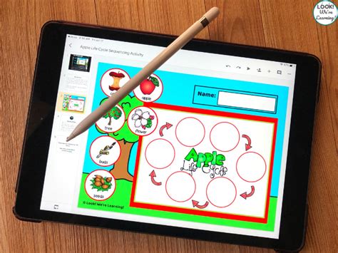 Apple Life Cycle Sequencing Activity Look Were Learning