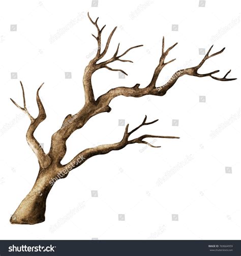 watercolor dry tree branch bare tree stock illustration  tree