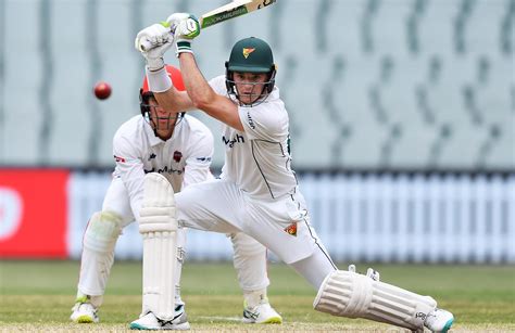 Tasmania openers seize control of seesawing affair | cricket.com.au