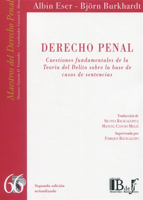 Derecho Penal Cuestiones Fundamentales De La Teor A Del Delito Sobre