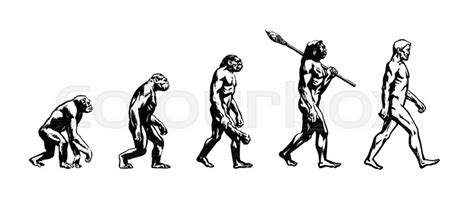 Theory Of Evolution Of Man Human Stock Vector Colourbox