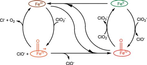 Chlorite Ion Hybridization