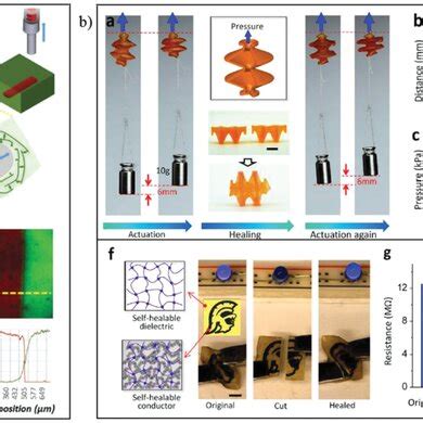 Applications Of Selfhealing Behavior A Hydrogel Printed By DIW