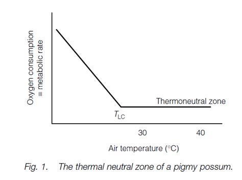 Thermoregulation - BIOLOGY EASE