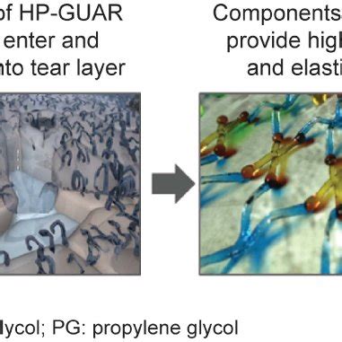 Mechanism of action of PEG/PG with HP GUAR. Image courtesy with ...