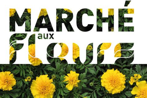 Pernay March Aux Fleurs Bougies Fleuries