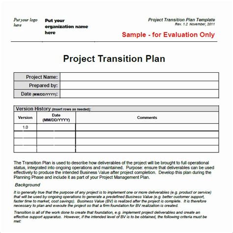 Executive Transition Plan Template