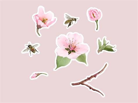 Watercolor Cherry Blossom Sticker Set Graphic By Theresia Studio