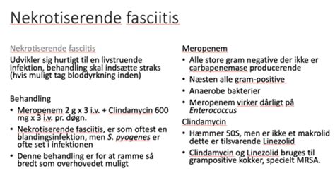 Bakterier Overordnet Cl Flashcards Quizlet