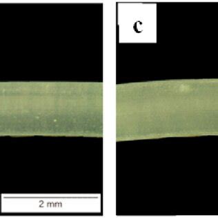 SEM Images Of The Tensile Fracture Surface Of Neat PLA And PLA CNC