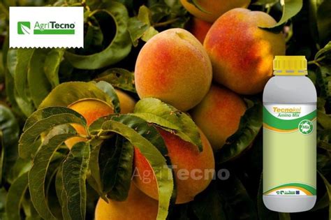 AgriTecno | Ajinomoto Co., Inc. on LinkedIn: #tecnokelaminomix # ...