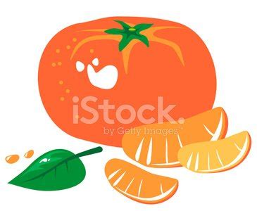 Tangerine And Orange Character Couples Are Welcome To Sit Stock Vector Royalty Free Freeimages