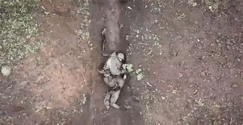 Они отбрасывали вражеские гранаты обратно и продолжали сражаться ...