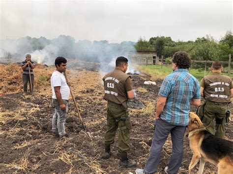 CONAF reitera que las quemas agrícolas y forestales están prohibidas en