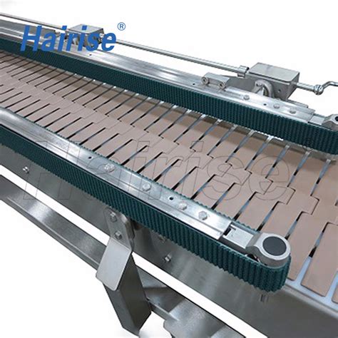 Hairise Plastic Belt Conveyor System For Beverage Industry China