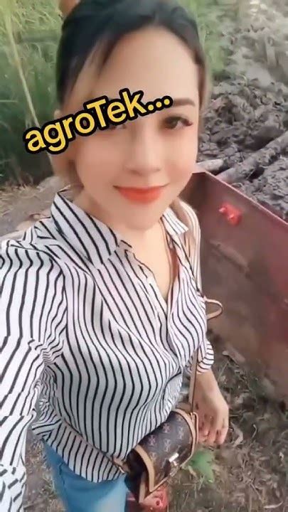 Awek Melayu Di Sawah Padi Youtube