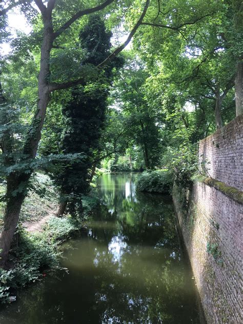 Current Obsessions: Secret Gardens - Gardenista