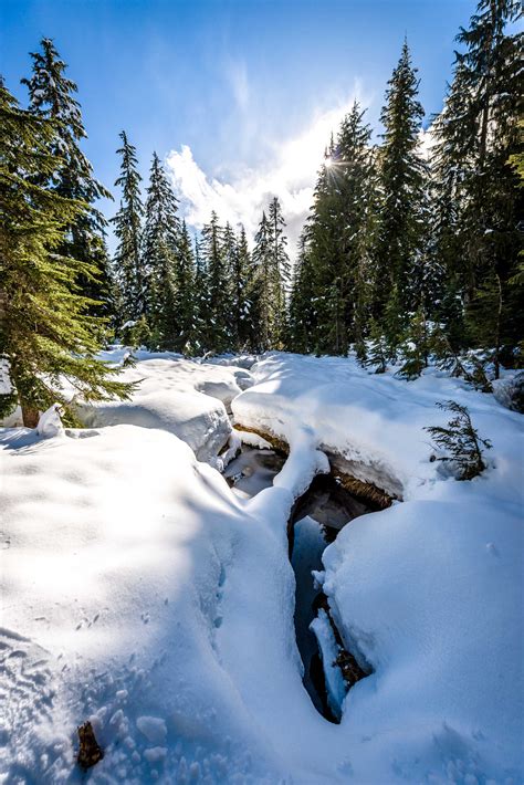 Cypress Mountain Snowshoeing