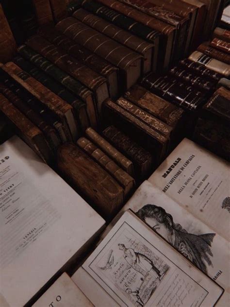 Dark Academy Aesthetic, Academic Aesthetic, Light Academia Aesthetic ...