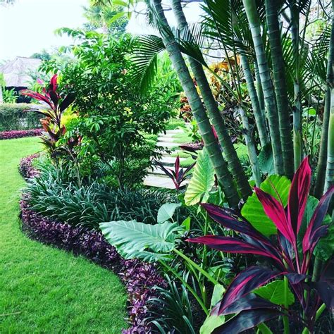 20 Tropical Garden Edging Ideas