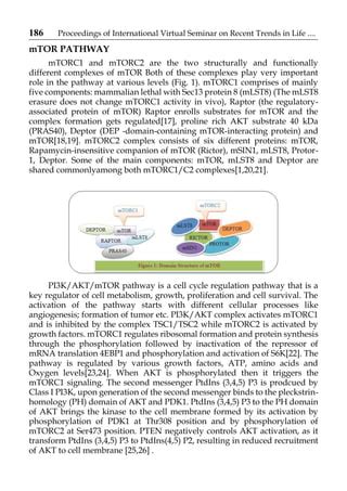 Pi Kinase Akt Mtor Pathway In Breast Cancer Pathogenesis And