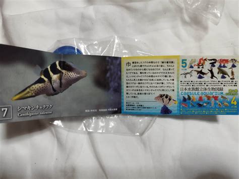 Yahoo!オークション - 絶版限定 海洋堂日本水族館立体生物図録 第5巻 7...
