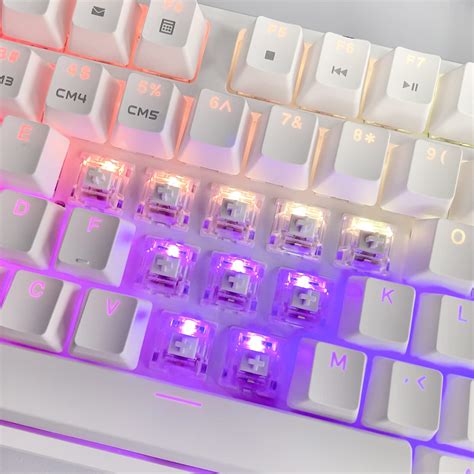 Snapklik Draoza Gateron White Clear Pro Switches Pin Pre Lubed