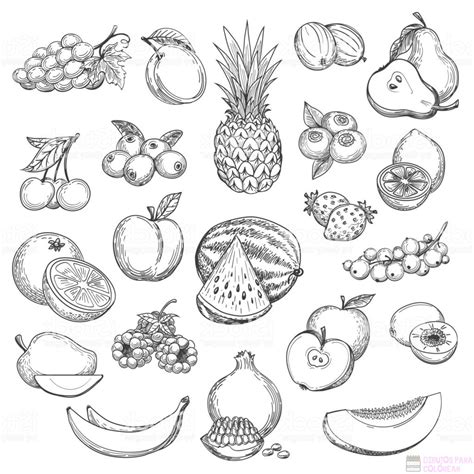 ᐈ Dibujos De Frutas【top 30】un Delicioso Boceto Dibujos De Colorear