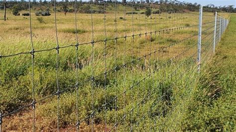 Muckadillas Glenochar To Test Maranoa Values Queensland Country Life