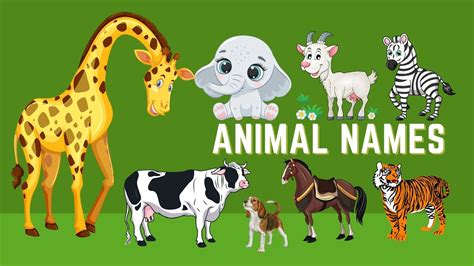 Animals Names For Kids In Hindi And English Animal Names With