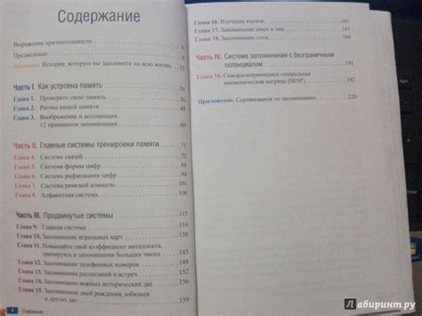 Книга: Память - Тони Бьюзен. Купить книгу, читать рецензии | Лабиринт