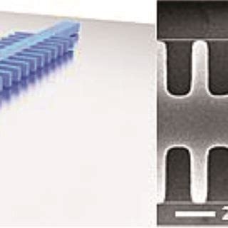 Schematic Representation Of Lami Technology The Mb Construct Is