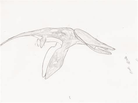 Leviathan Fish By Zakkmiester On Deviantart