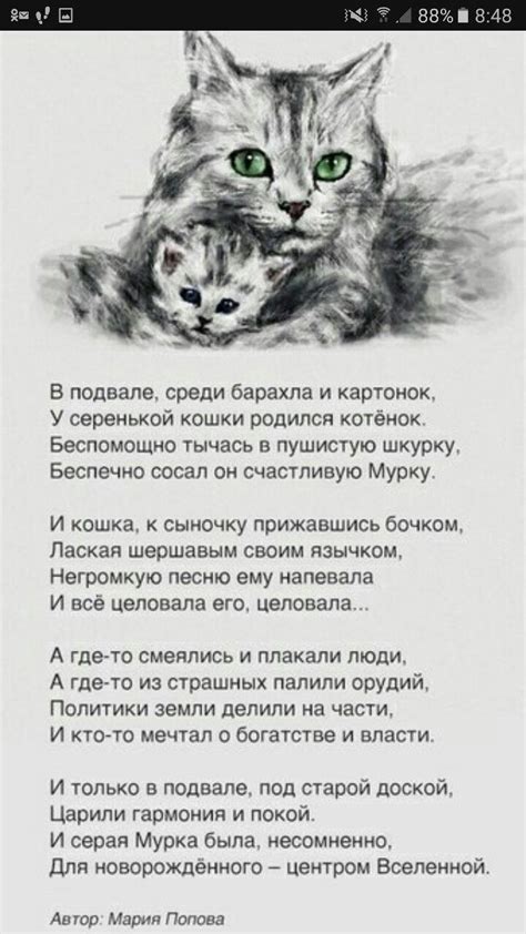 Стихи О Кошках Для Детей Короткие - 64 фото