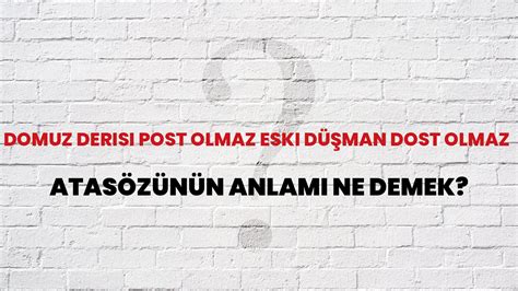 Domuz derisi post olmaz eski düşman dost olmaz Atasözünün Anlamı Ne