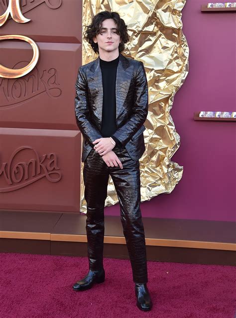 December 10 Wonka Los Angeles Premiere TCF 150 Timothée Chalamet